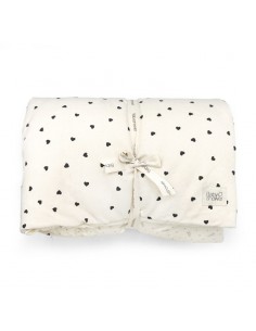 Plaid Picnic Rock & Love 2