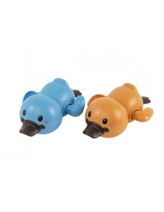 Duo d'ornithorynques -...