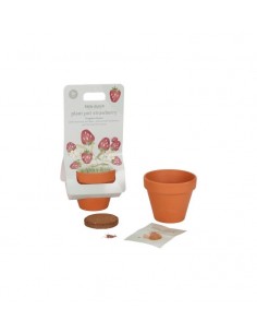 pot de fleur - fraises