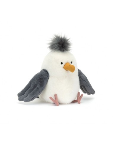 Chip Seagull