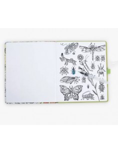 Cahier coloriage aquarelle... 2