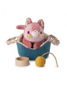 Jeanne le chat et son panier