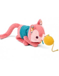Jeanne le chat et son panier 2
